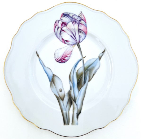 DINNERWARE