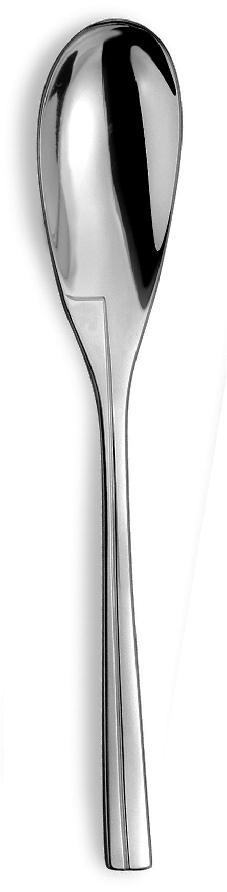 Persane Stainless Steel - 5 Piece Place Setting
