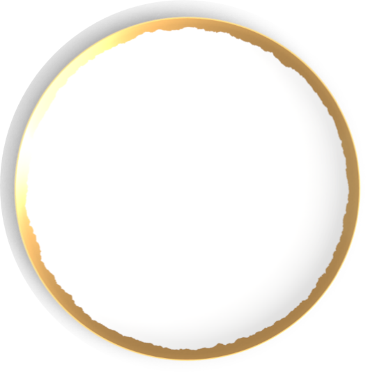 ODYSSEY - GOLD DINNERWARE