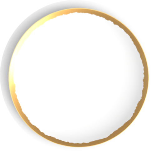 ODYSSEY - GOLD DINNERWARE