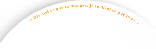 Citations Dinnerware