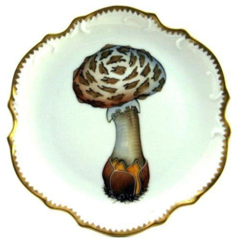 FOREST MUSHROOMS DINNERWARE