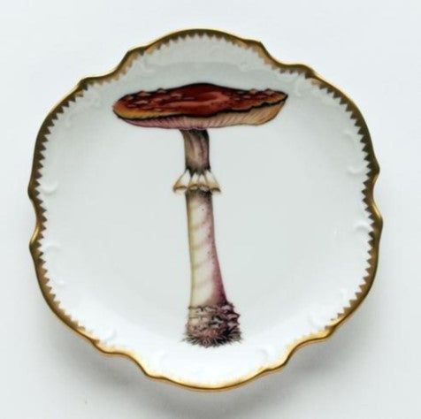 FOREST MUSHROOMS DINNERWARE