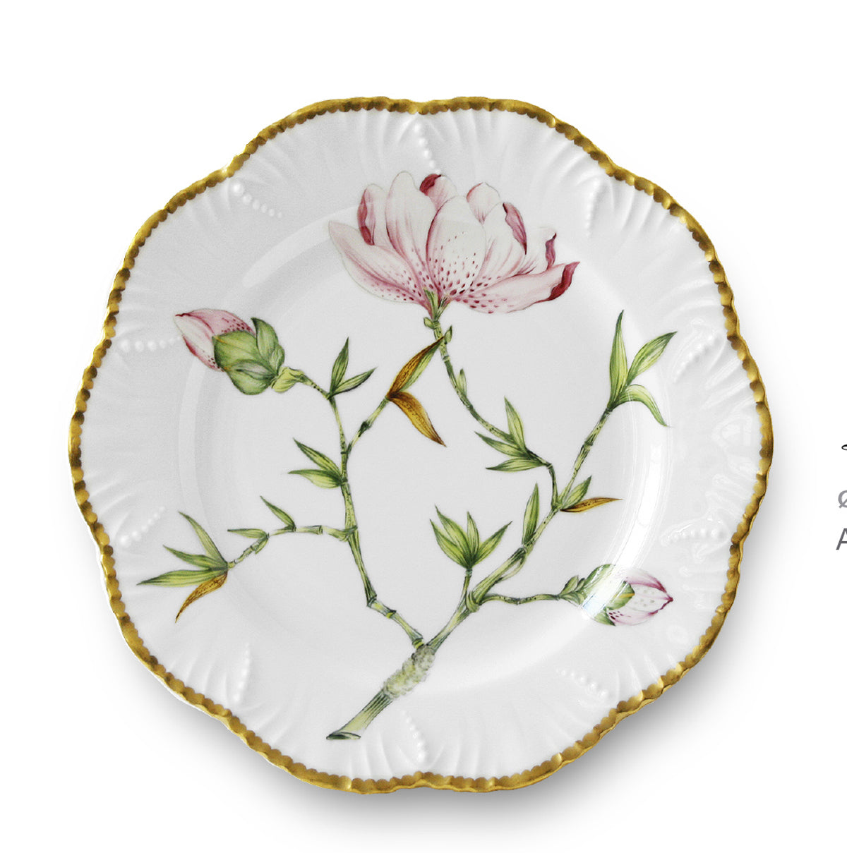 Magnolia Dinnerware