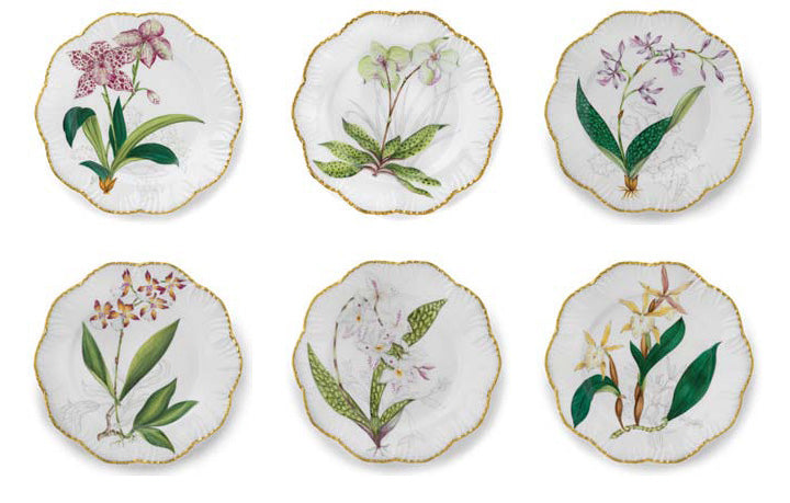 HISTORIES D'ORCHIDEES DINNERWARE