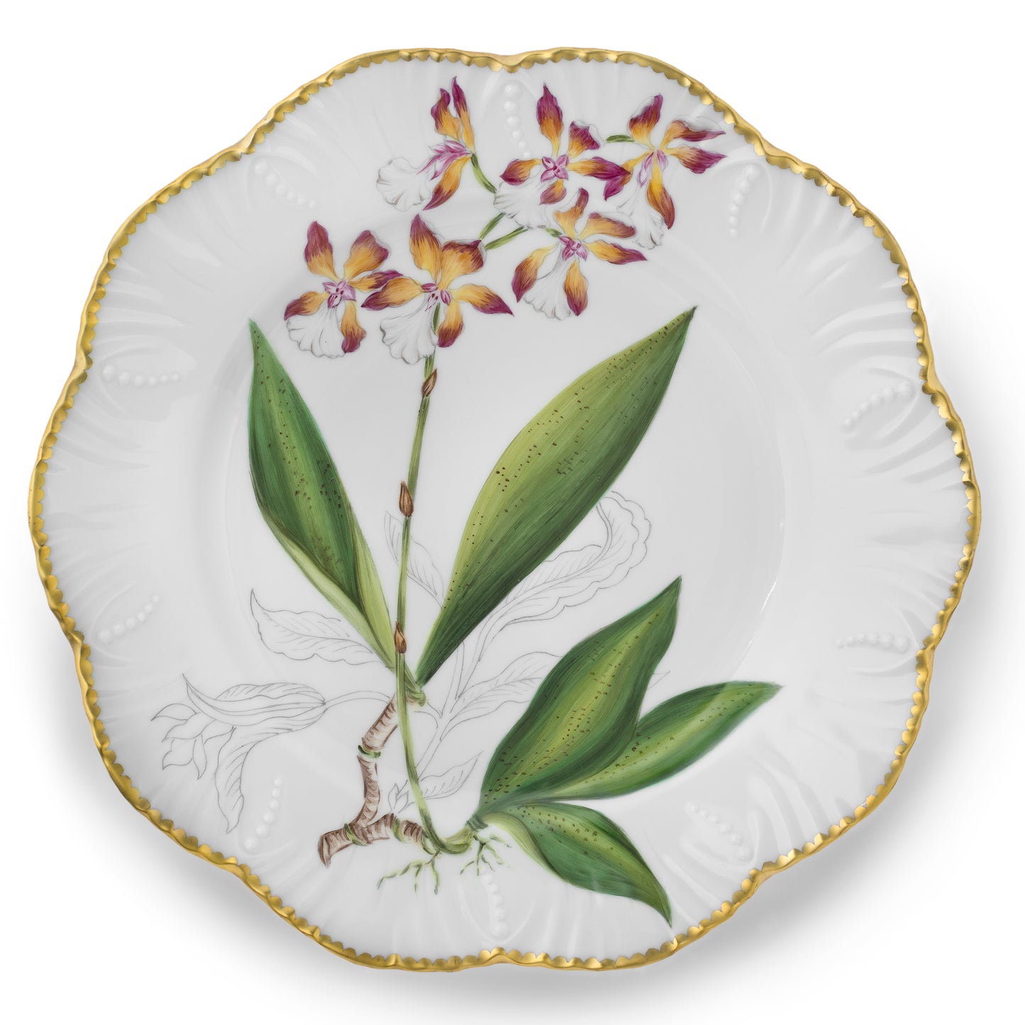HISTORIES D'ORCHIDEES DINNERWARE