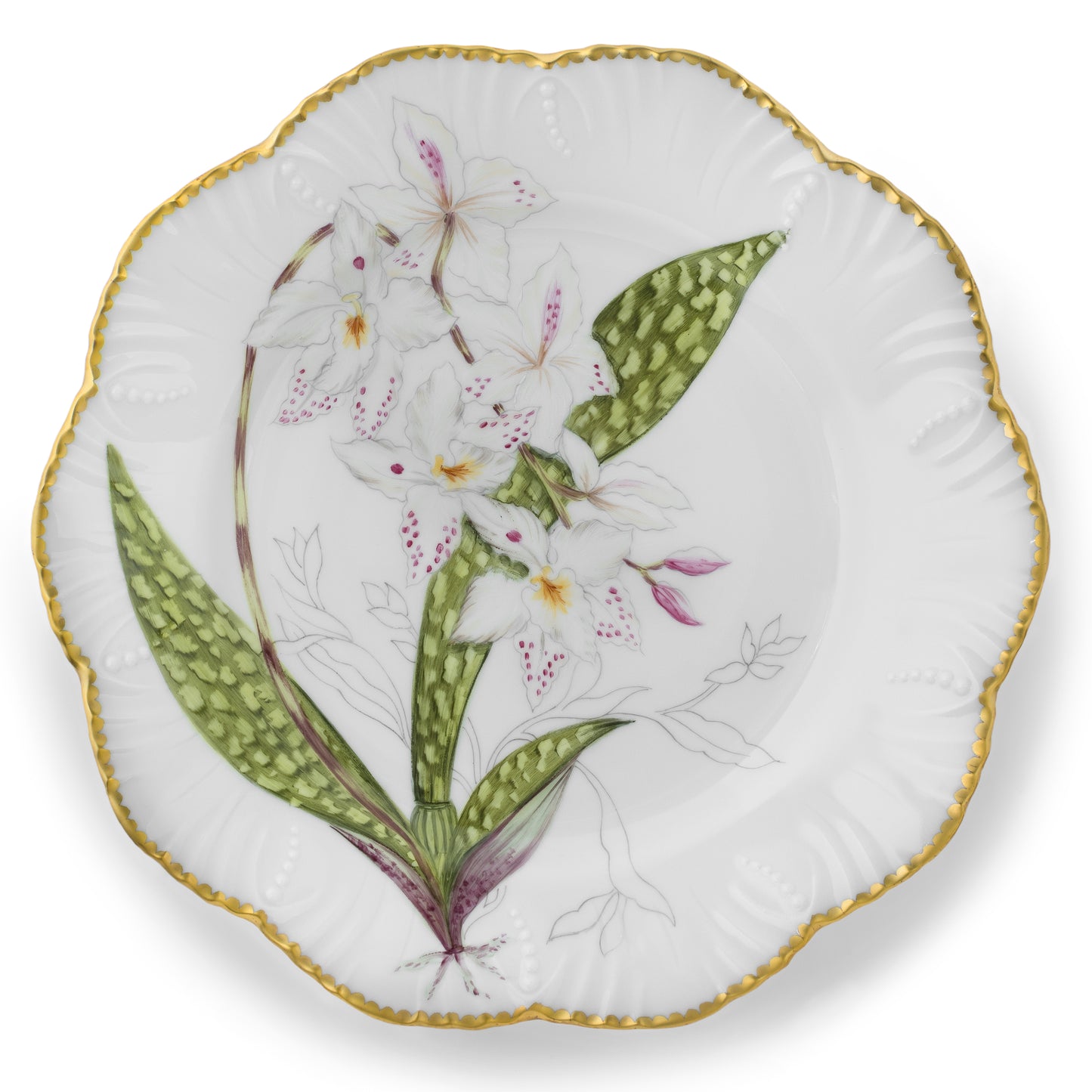 HISTORIES D'ORCHIDEES DINNERWARE