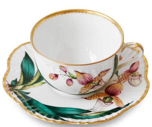 Histories D'Orchidees Drinkware