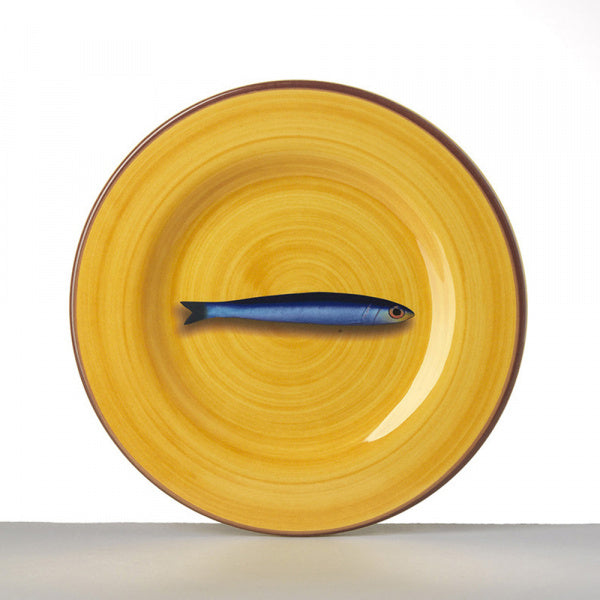Aimone Dinnerware