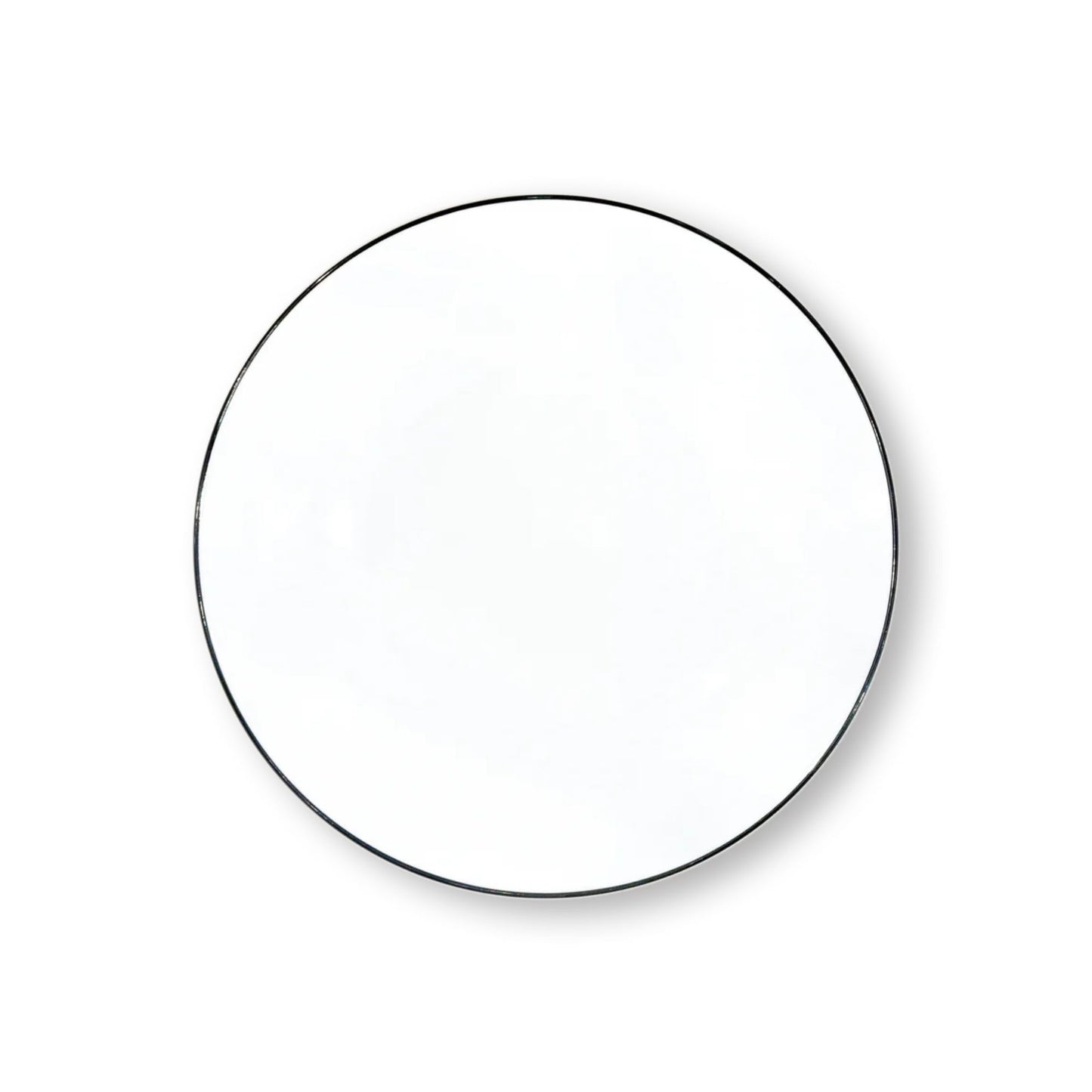 Concorde Dinner Plates
