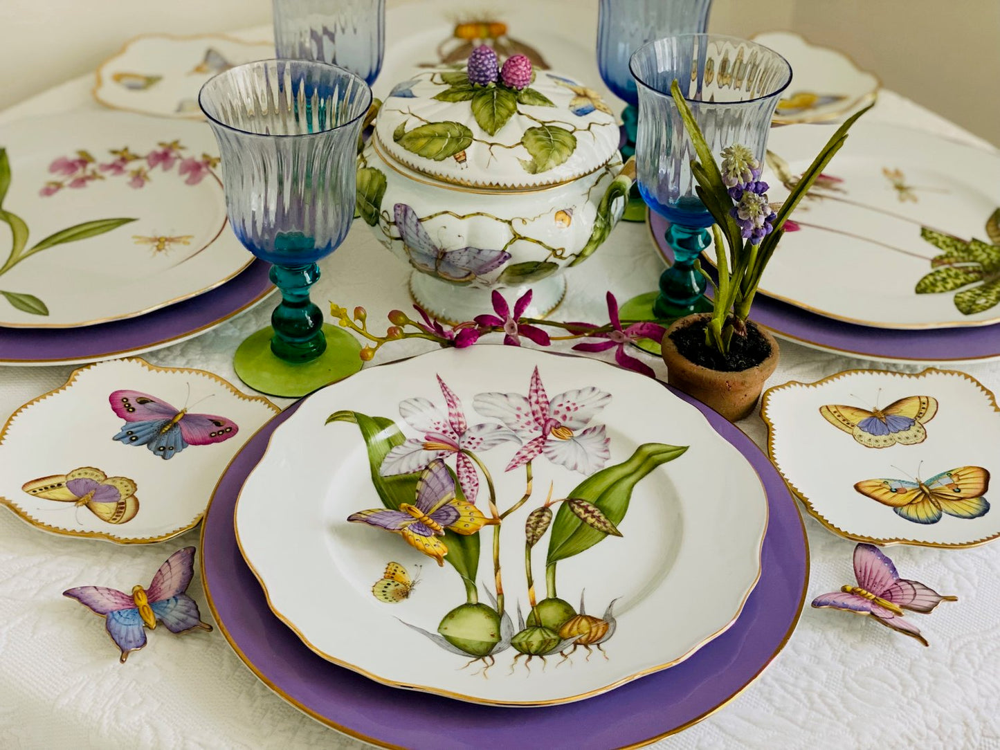 Orchid Dinner Plates