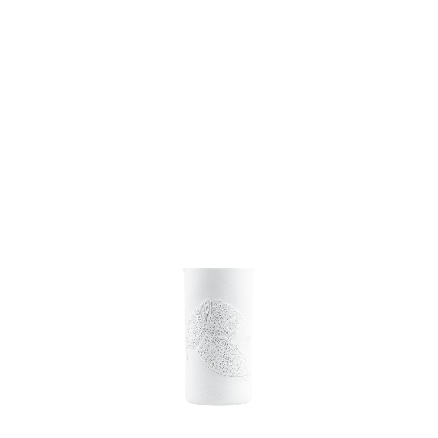 TOUCHE - ZODIAQUE DRINKWARE