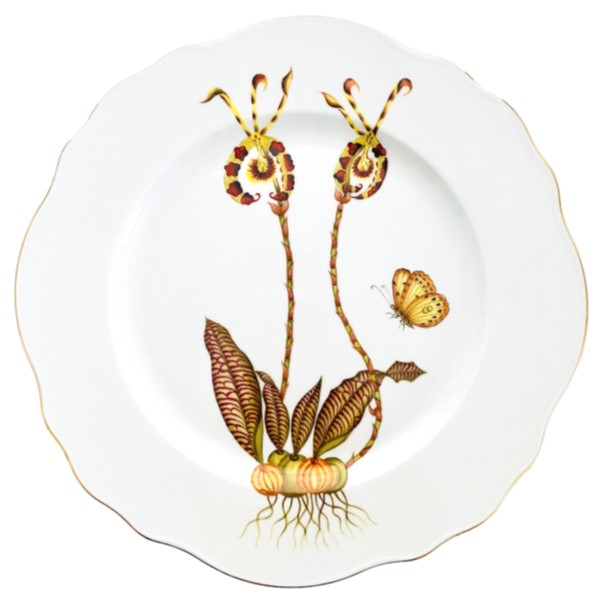 ORCHID DINNERWARE