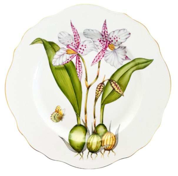 ORCHID DINNERWARE