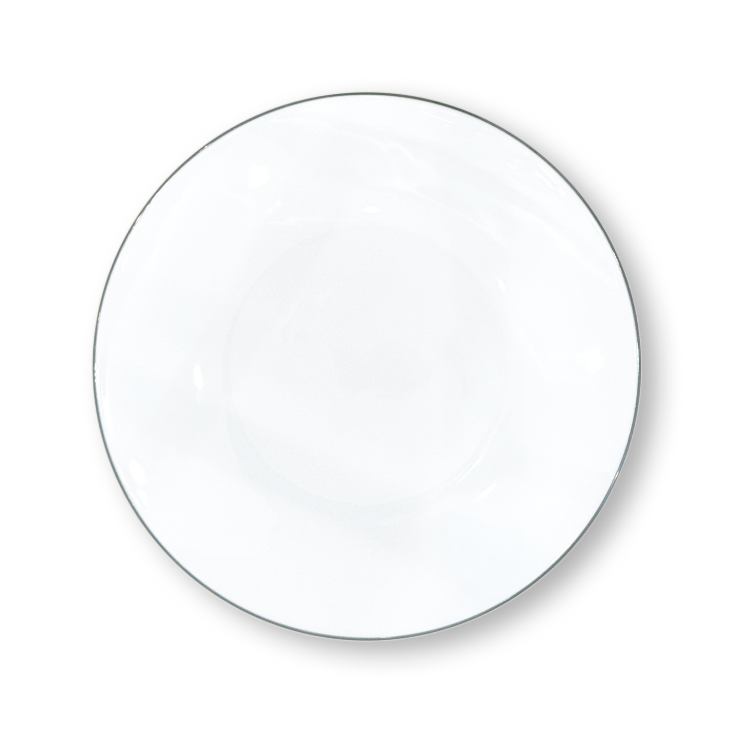 Concorde Dinner Plates