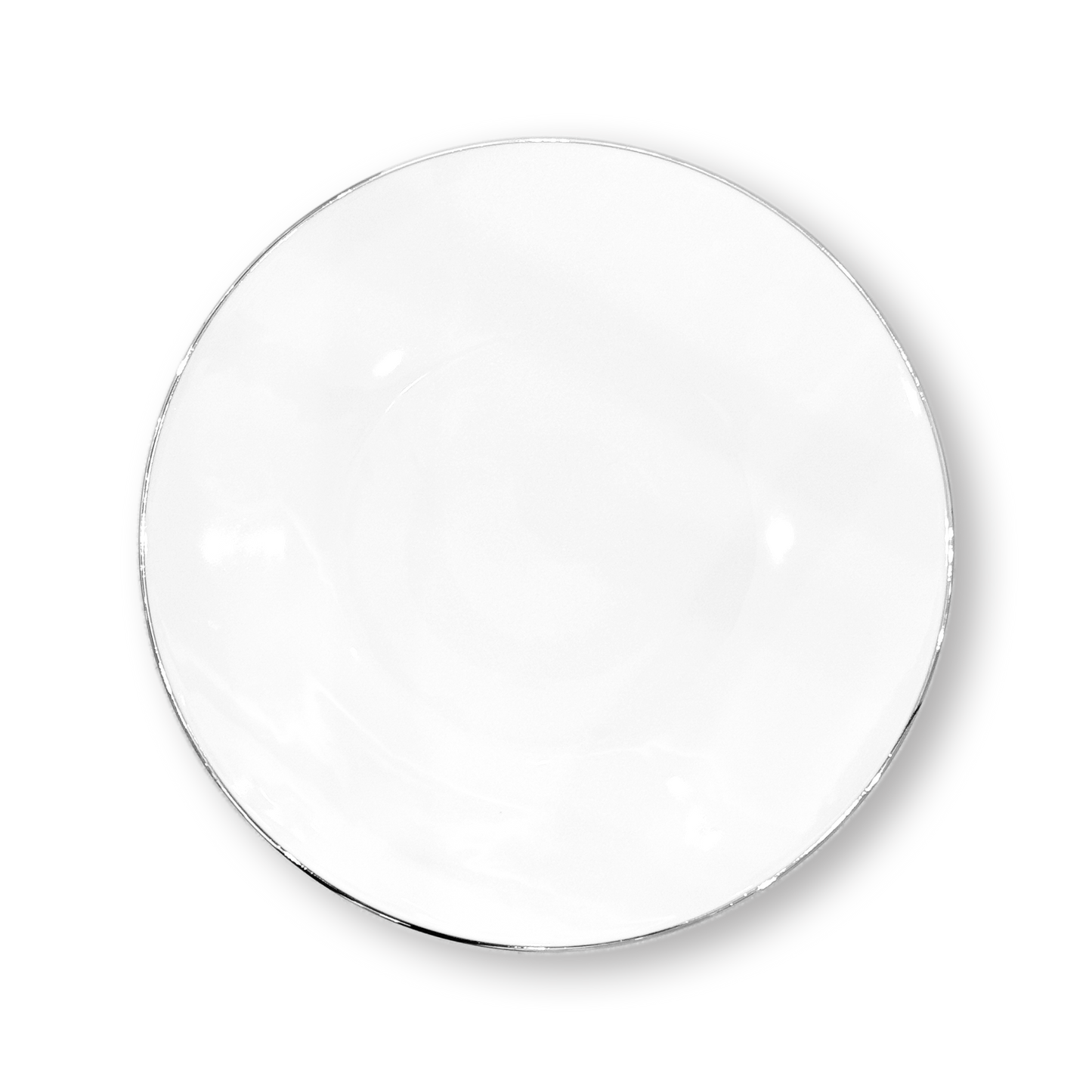 Concorde Dinner Plates