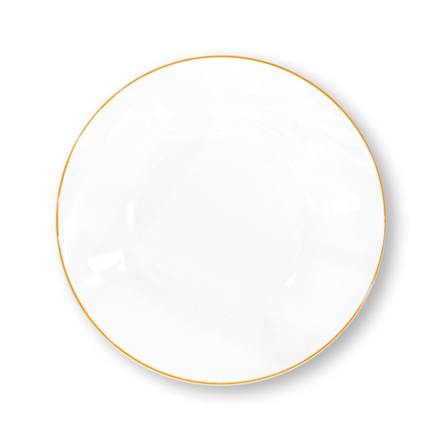 Concorde Dinner Plates