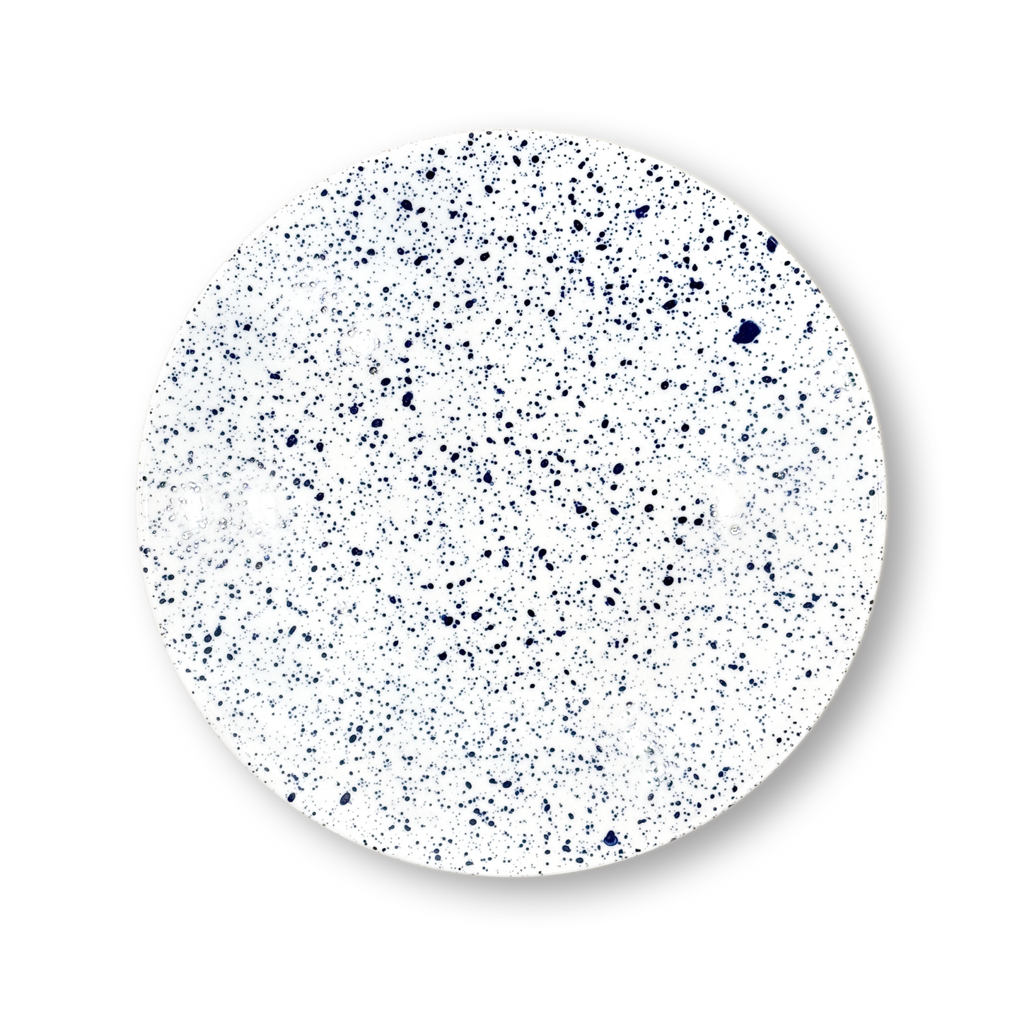 Splash Dinner Plate