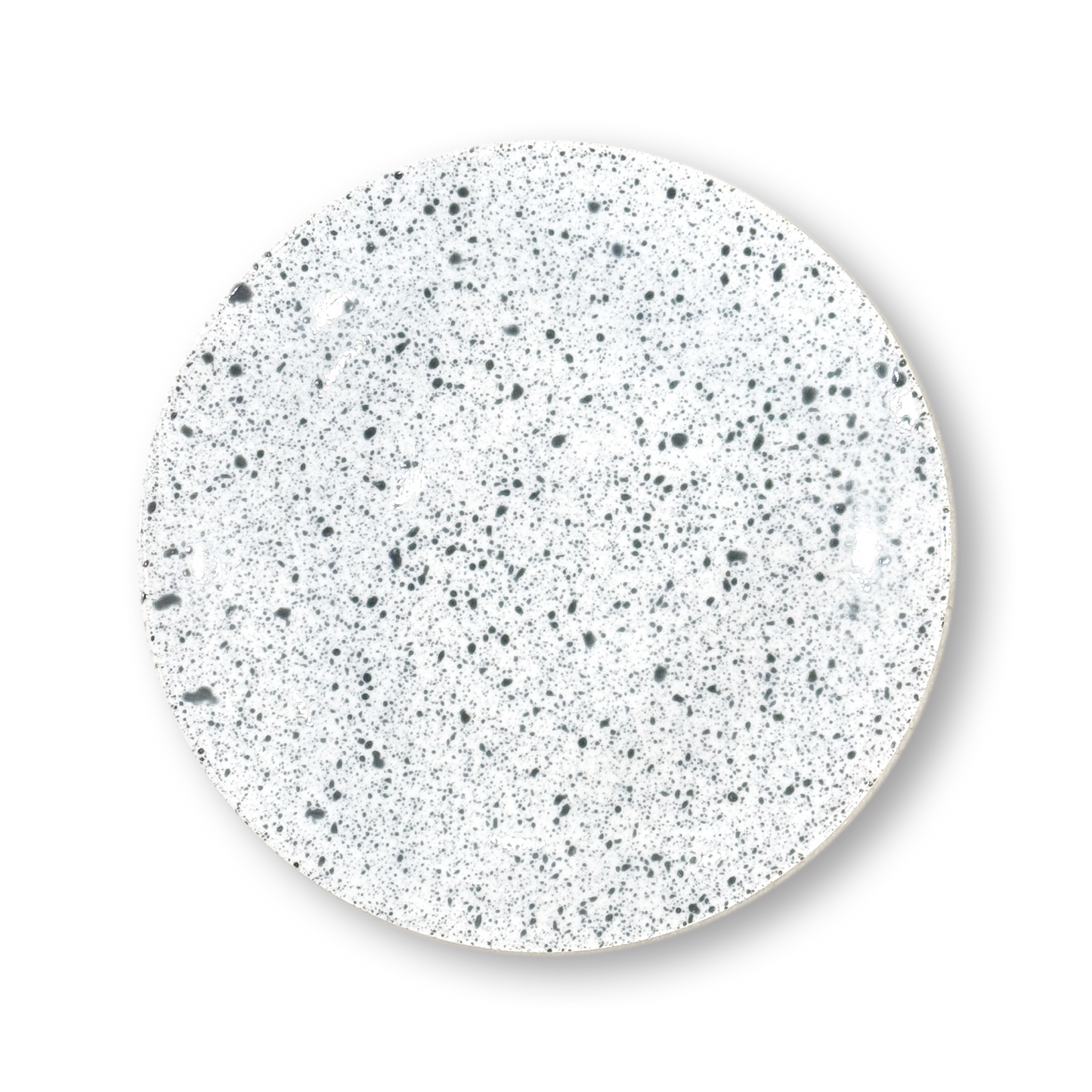 Splash Dinner Plate