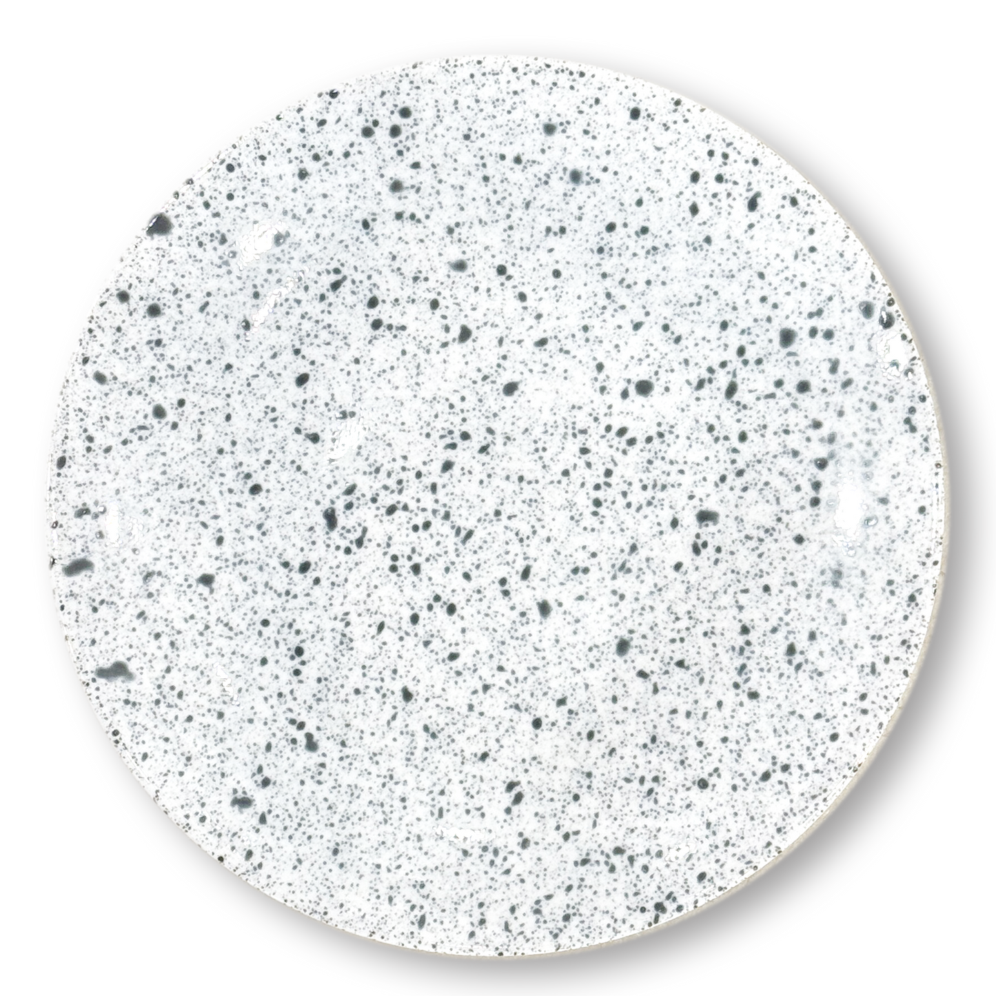 Splash Buffet Plate