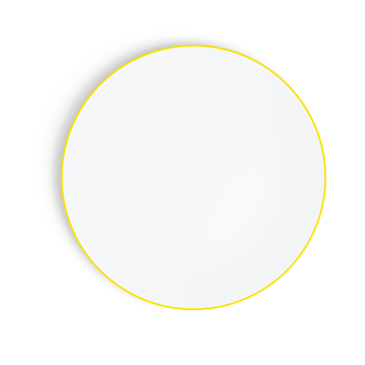 Concorde Dinner Plates