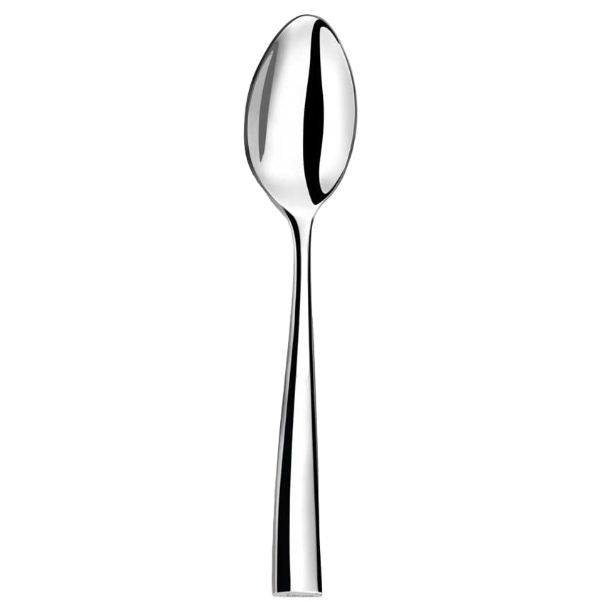 A single silver serving spoon with a sleek, modern design against a white background.