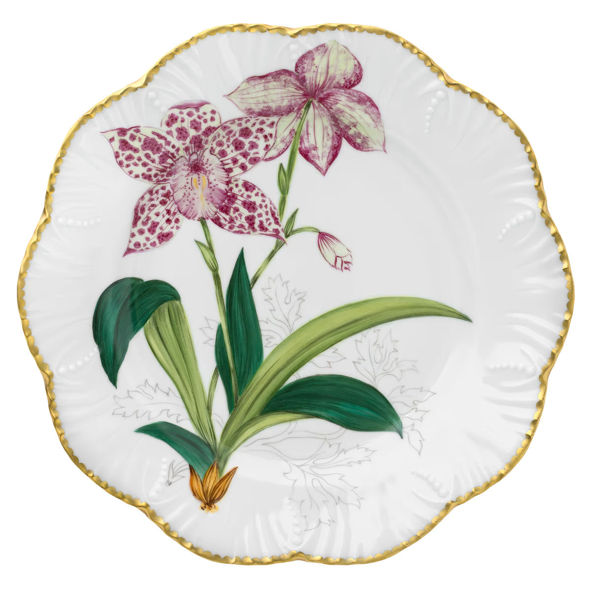 Histories D'Orchidees