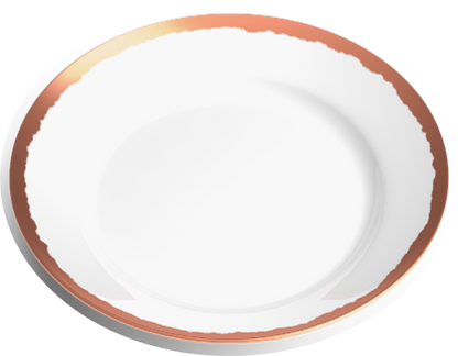 ODYSSEY - COPPER DINNERWARE