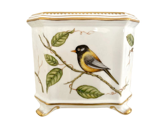 Hand Painted Cachepot, Square - Yellow Bird