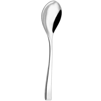 A single silver serving spoon with a smooth finish, reflecting light from its polished surface.