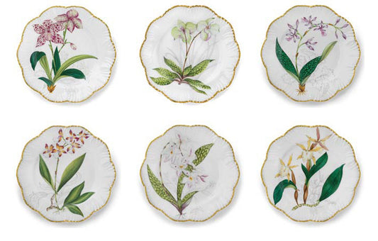 Histories D'Orchidees Dinner Plate Set of 6