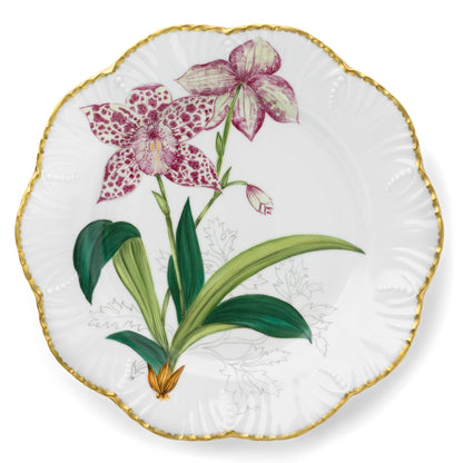 Histories D'Orchidees Dinner Plates