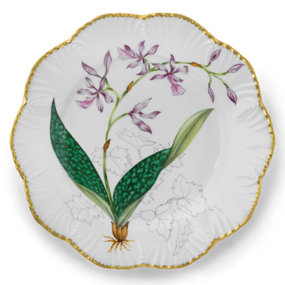 Histories D'Orchidees Dinner Plates