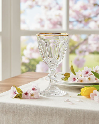 Dolce Vita Acrylic Water Glass