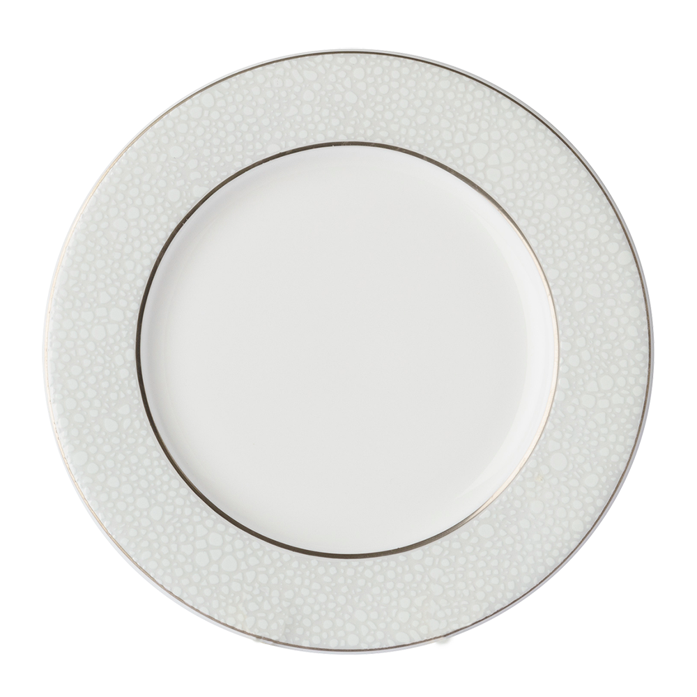 EFFERVESCE DINNER PLATE