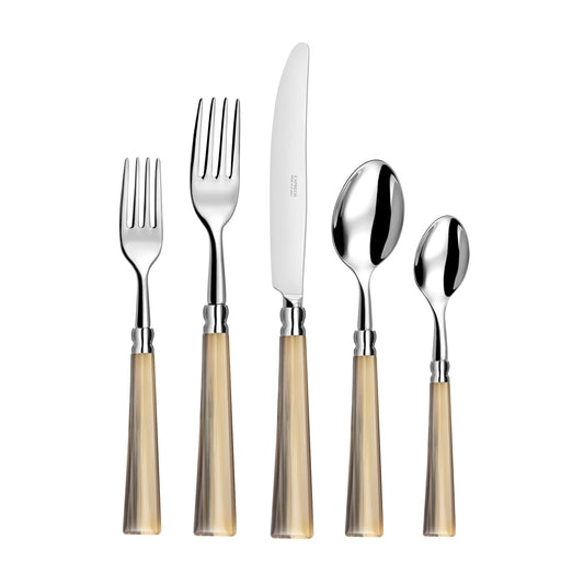 Jupiter - 5 Piece Place Setting (Marbled Brown)