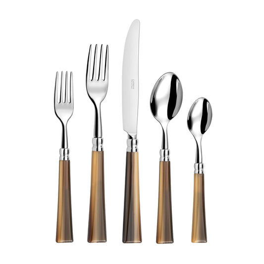Jupiter - 5 Piece Place Setting (Marbled Brown)