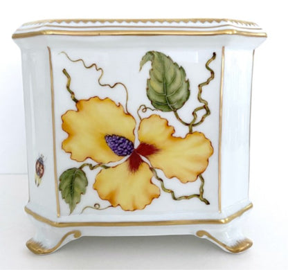 Hand Painted Square Cachepots