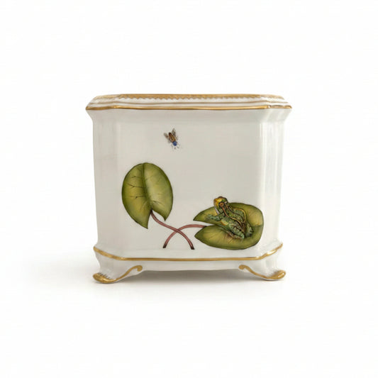 Hand Painted Cachepots, Square - Frog on Lilypad