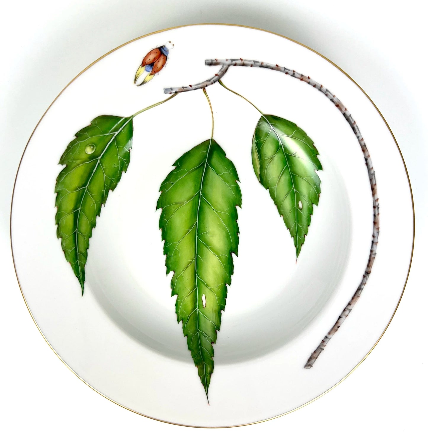 Green Leaf Dinnerware