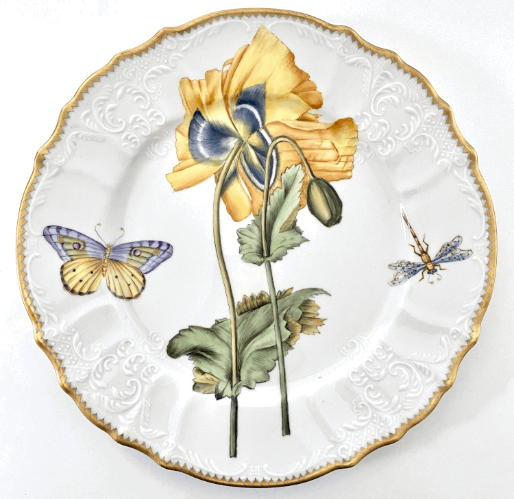 Mimosa Dinnerware