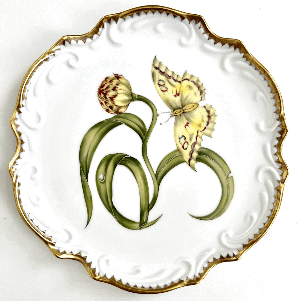 Morning Glory Dinnerware