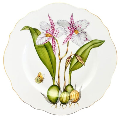 Orchid Dinner Plates