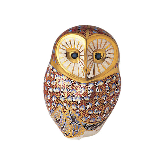Barn Owl