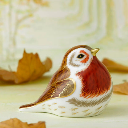 Royal Robin