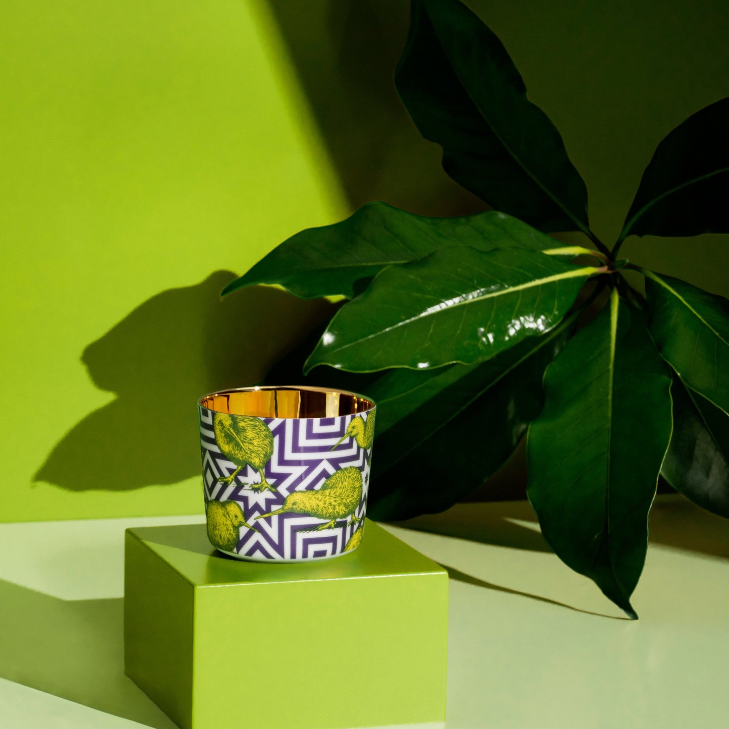 Luxury porcelain tumbler with kiwi design sitting next to a green tropical plant