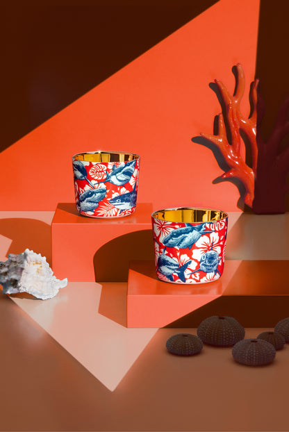 Luxury porcelain tumbler with gold interior sitting in an aquatic setting