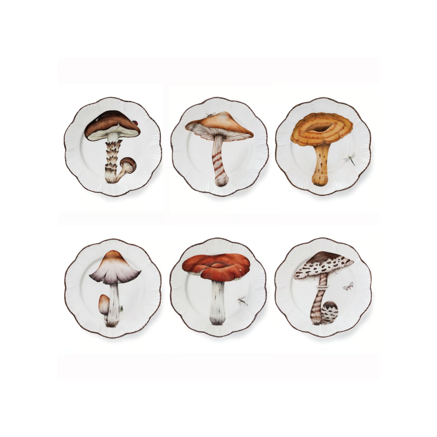 Set of six porcelain plates with mushroom designs on a white background