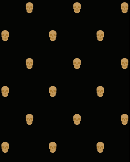 W1 Black Dinner Plate