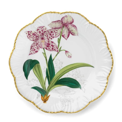 Histories D'Orchidees Dinner Plate Set of 6